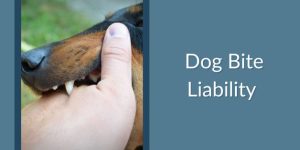 Dog Bite Liability