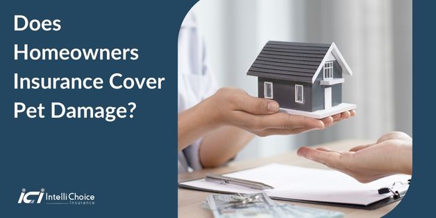 Does Homeowners Insurance Cover Pet Damage